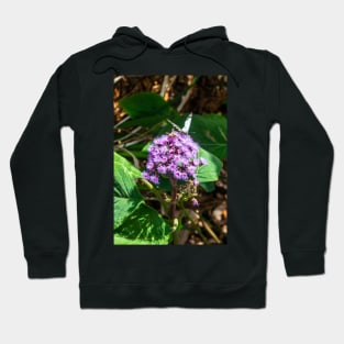 Butterfly and Bee in the Botanical Garden Hoodie